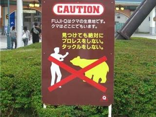 Cuidado com o urso